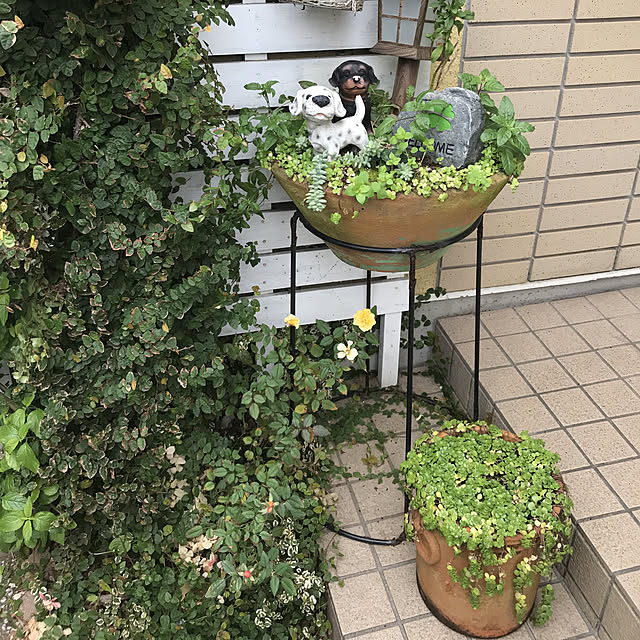 miya.ayaさんの実例写真
