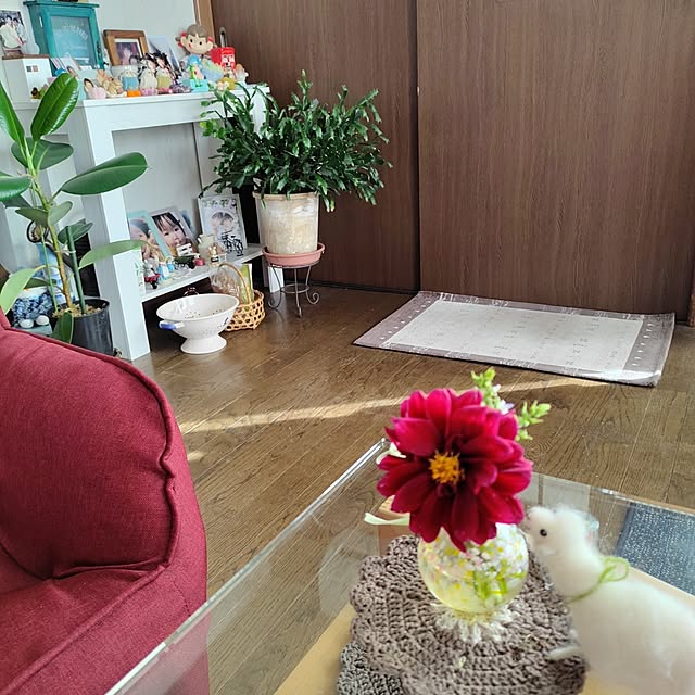 kiraさんの部屋