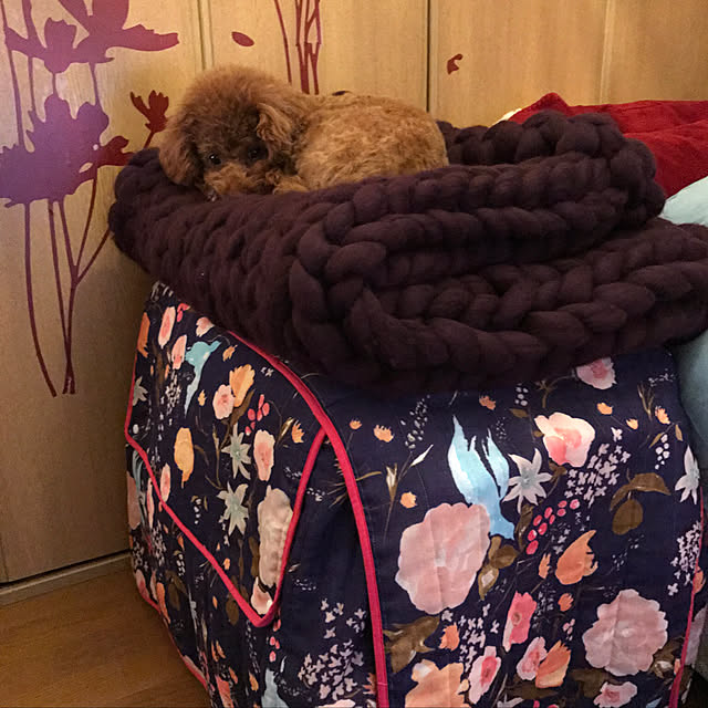s.keidinさんの実例写真