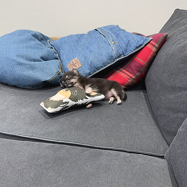 czukaooさんの実例写真