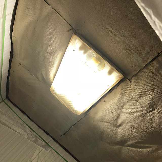 Renyaaaaaさんの実例写真