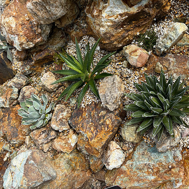 bonber0212さんの実例写真