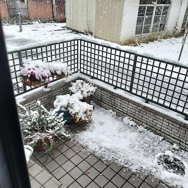 mash-room.aeさんの部屋