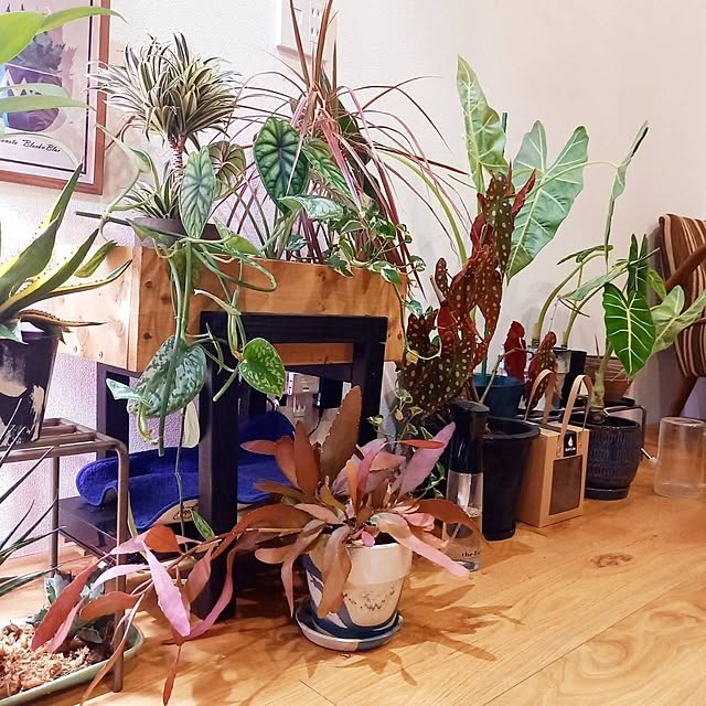 Rさんの部屋