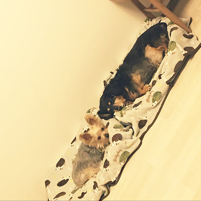 ohanaさんの実例写真