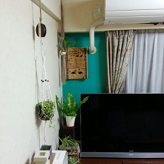 sumieさんの実例写真