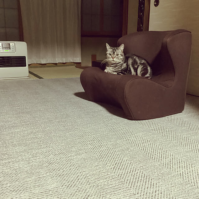 richanさんの実例写真