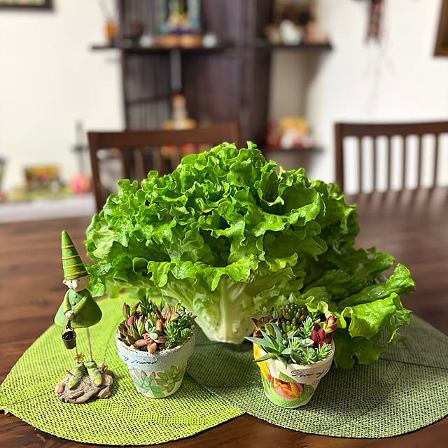 ritsukoさんの実例写真