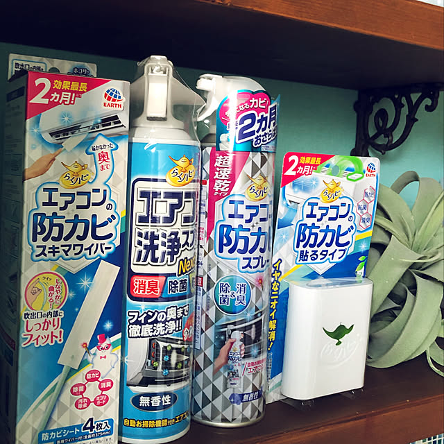 hoshimamaさんの実例写真