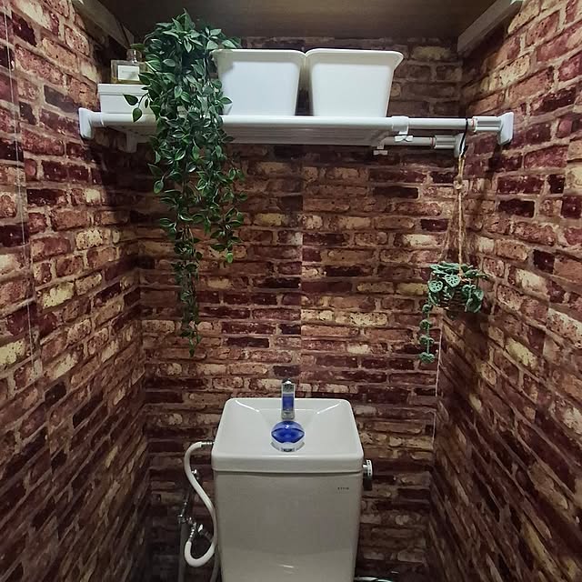 noaさんの実例写真
