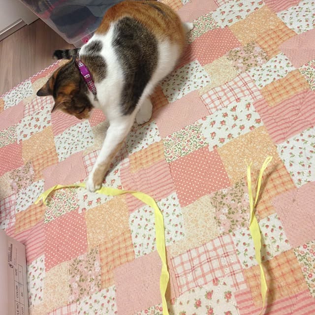 meriiさんの実例写真