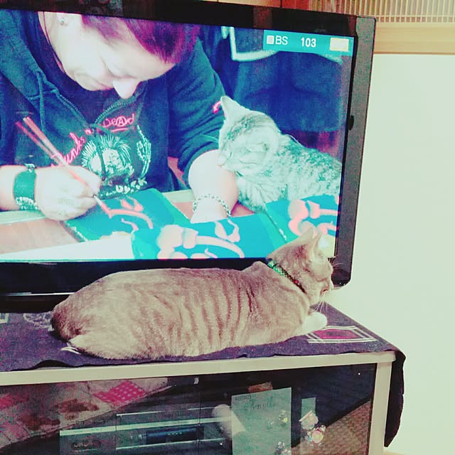 oyumiさんの実例写真