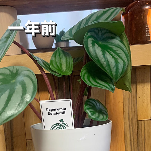 Fumiさんの部屋