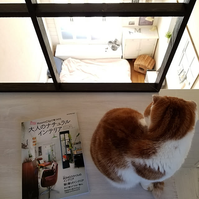 mikiさんの実例写真