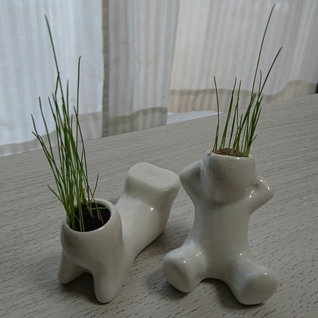 kumiさんの実例写真