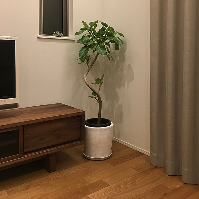 megさんの実例写真
