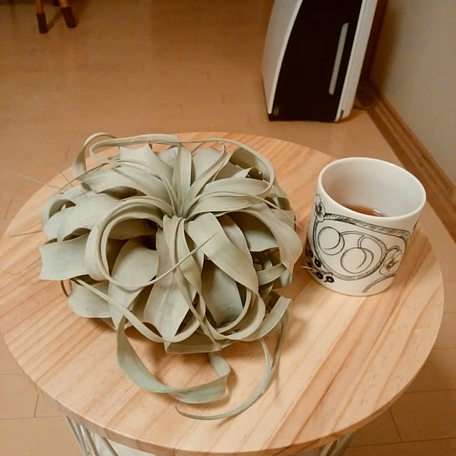 akipopoさんの実例写真