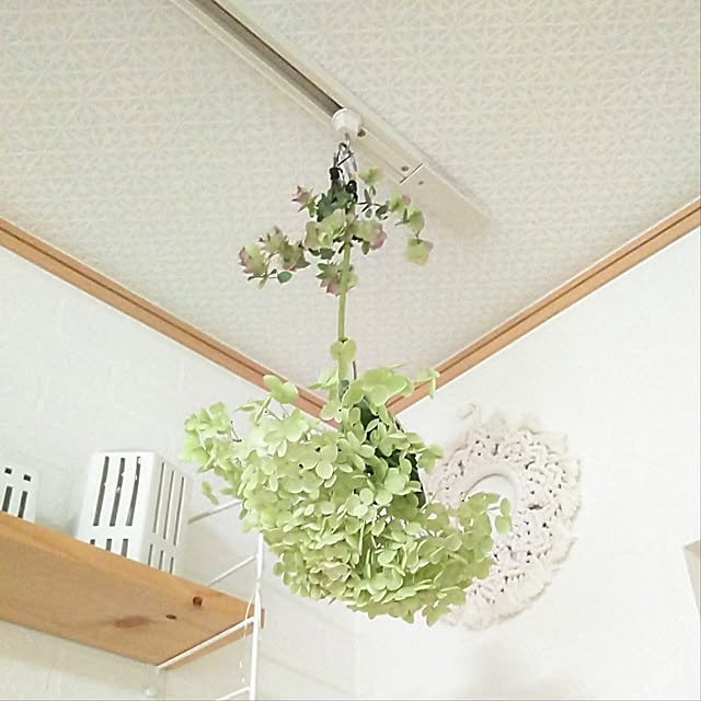 h.t.さんの部屋
