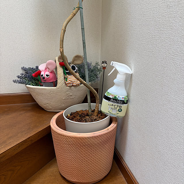 chIoeさんの部屋