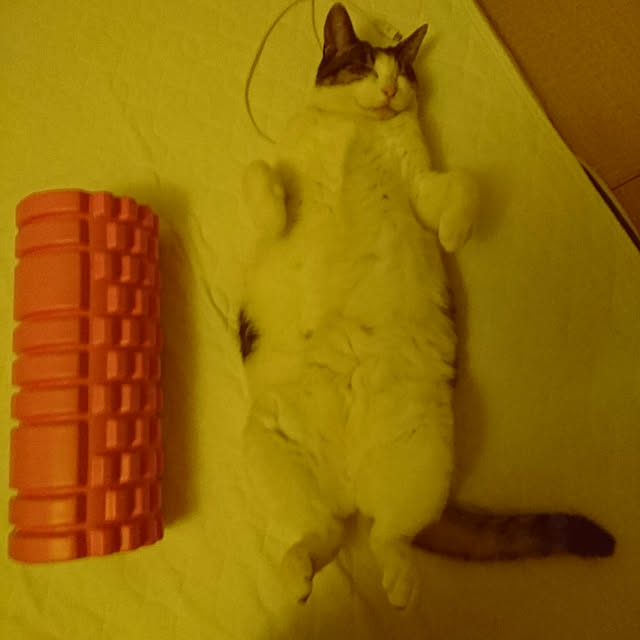 machikomamaさんの実例写真