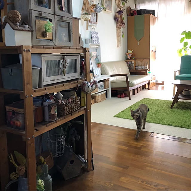 mohhaさんの実例写真