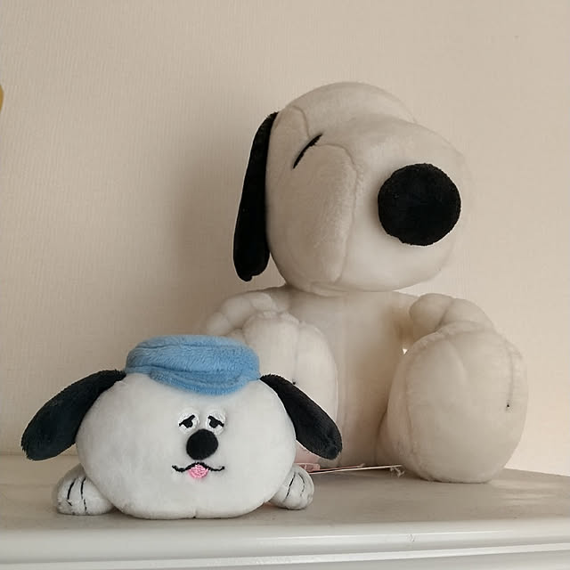Rさんの実例写真