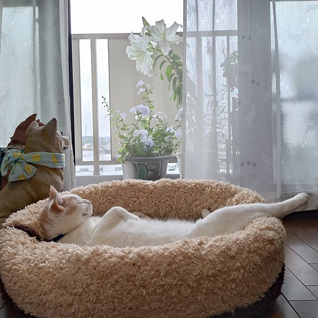 NOAHさんの実例写真