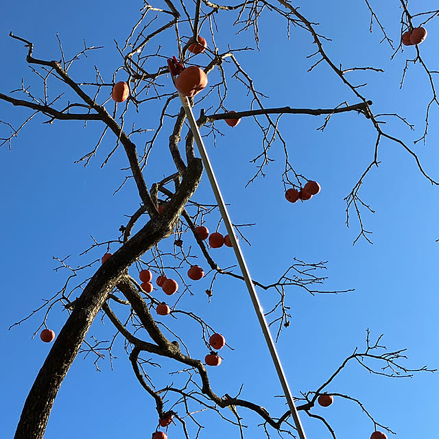 Takenoyaさんの部屋