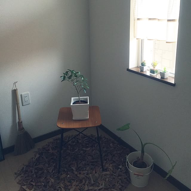 shimajirouさんの実例写真