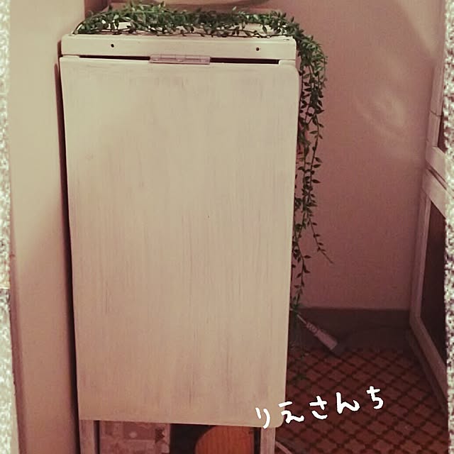 riesanchiさんの実例写真