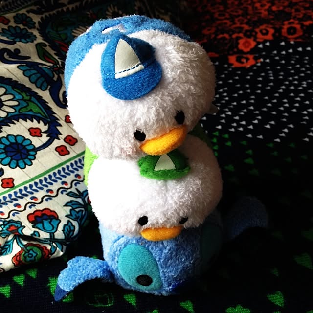 Gyuさんの実例写真