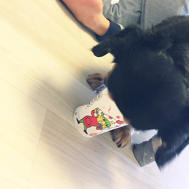 ohanaさんの実例写真