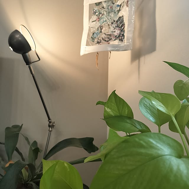 jamjamさんの部屋