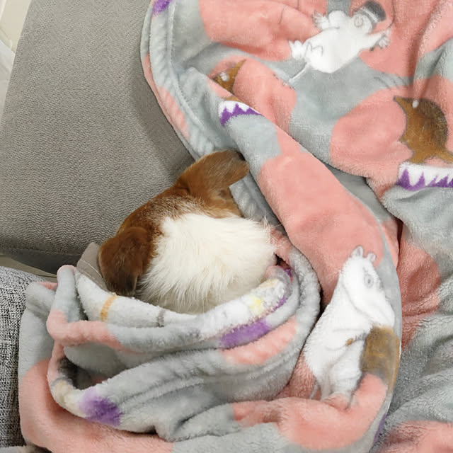marosukeさんの実例写真