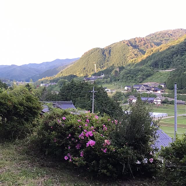 実例写真