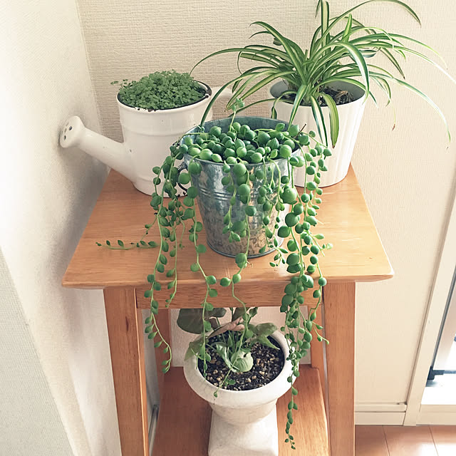 Tomokoさんの実例写真