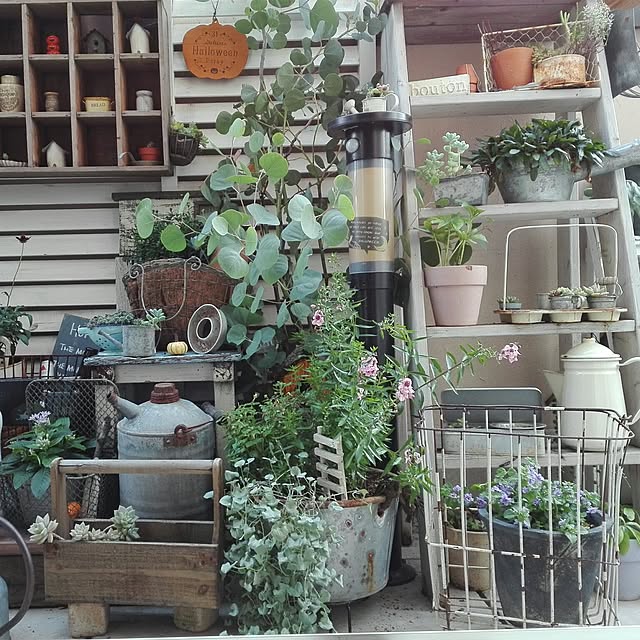 kokkomachaさんの実例写真