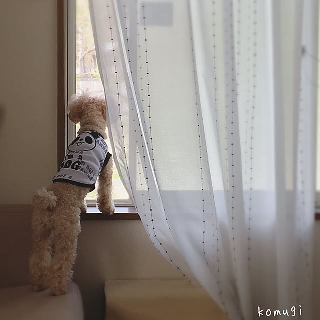 jun15さんの実例写真