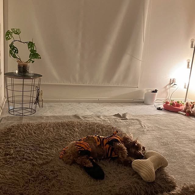 MOMOMAMAさんの実例写真