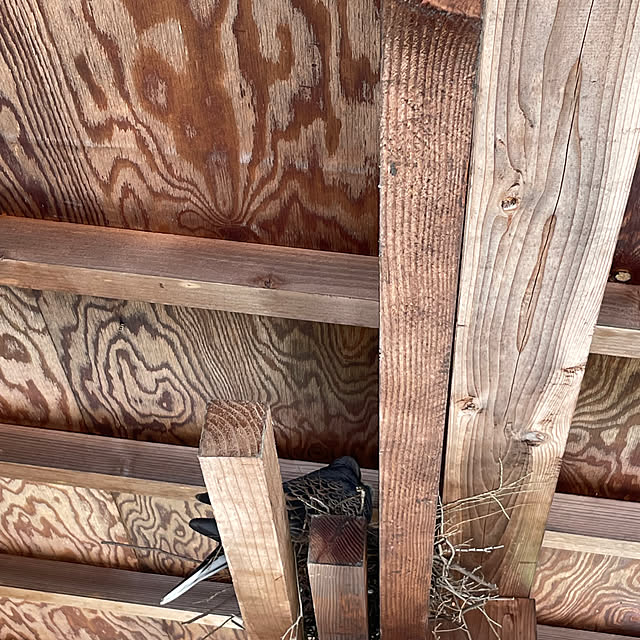 kakoさんの部屋