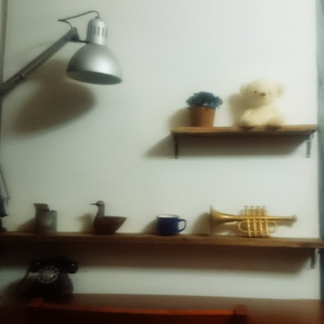 owlkoさんの実例写真