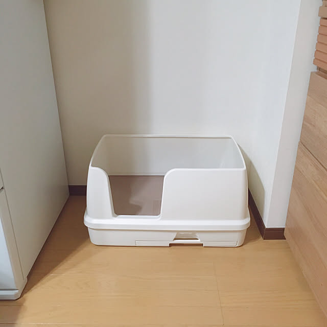 anさんの実例写真