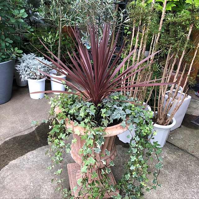 AYUKOさんの実例写真