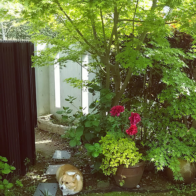 tenntennさんの実例写真