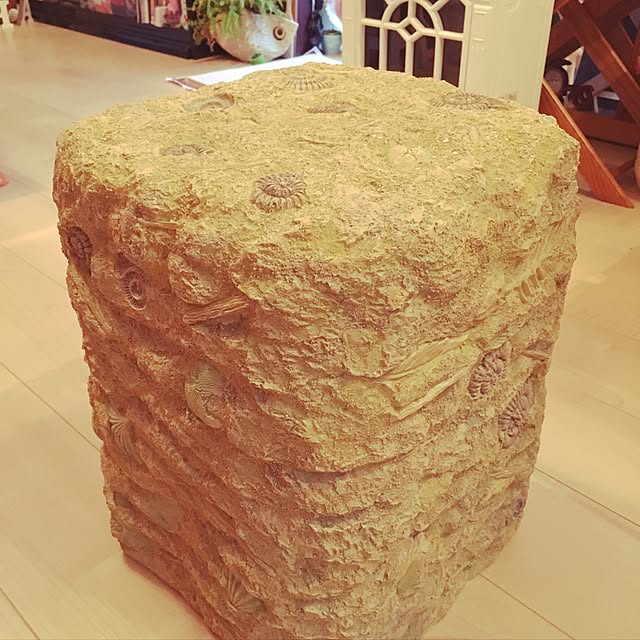 alohamamaさんの実例写真