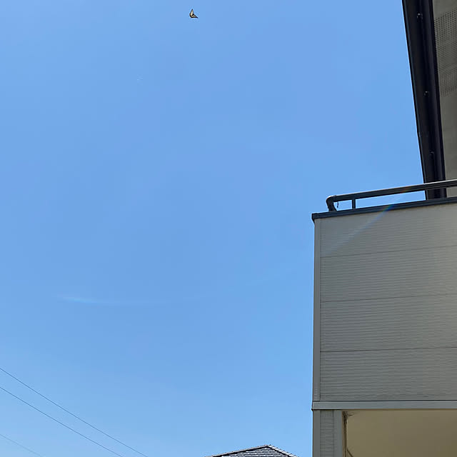 neneさんの部屋