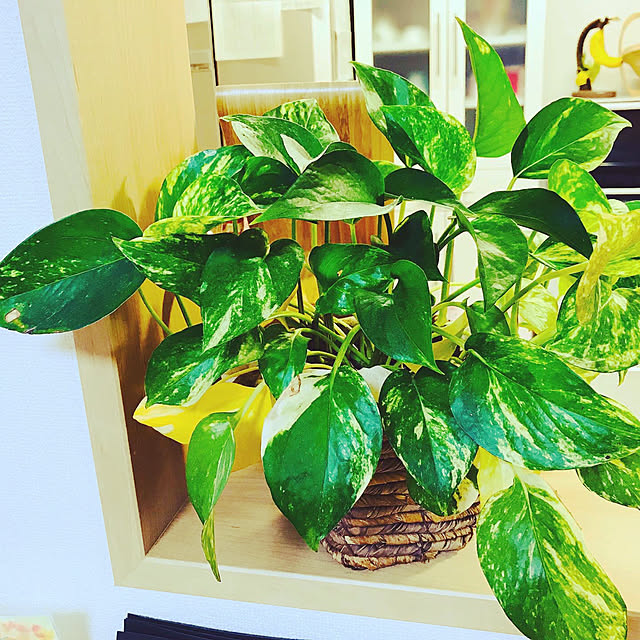 kana.mam528さんの実例写真