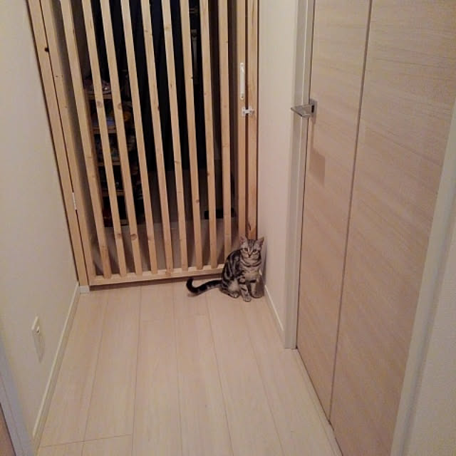 yochiyochiaruk2さんの実例写真