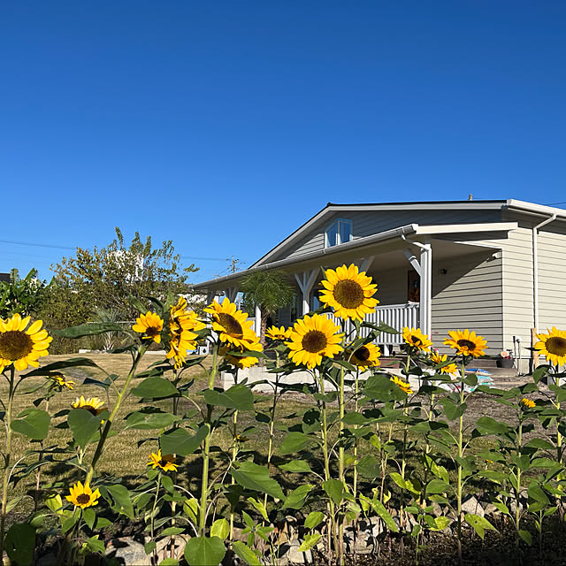 294BASEさんの実例写真