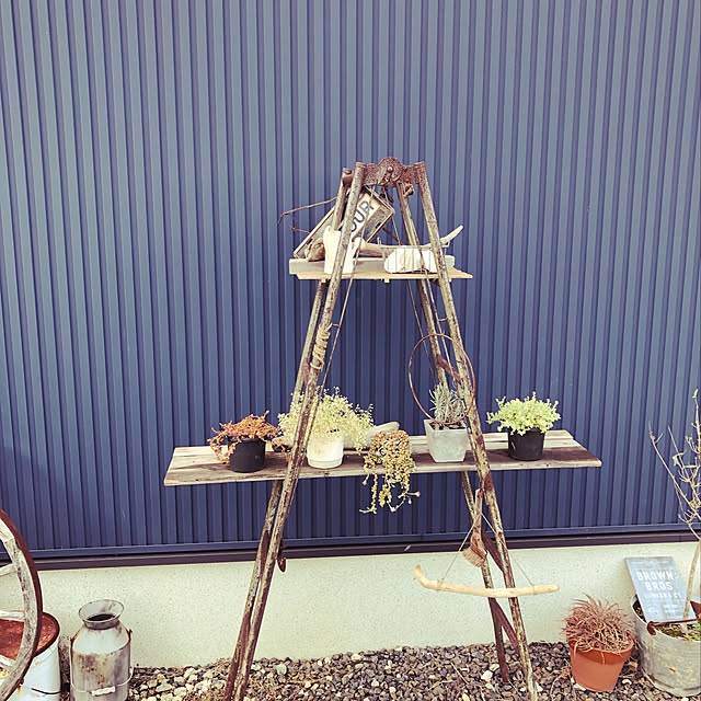 SLRNさんの実例写真